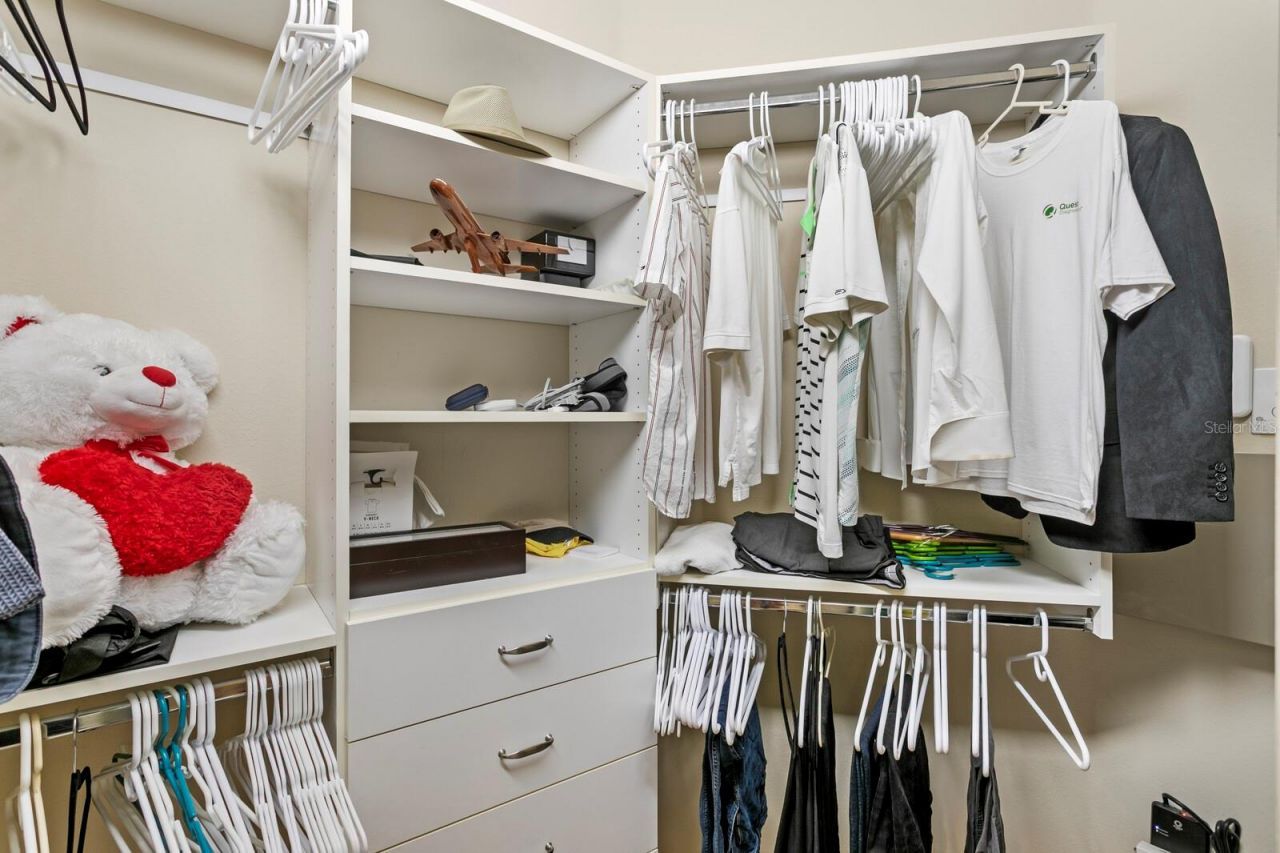 16423 Burniston Drive, Tampa, FL 33647 Photo