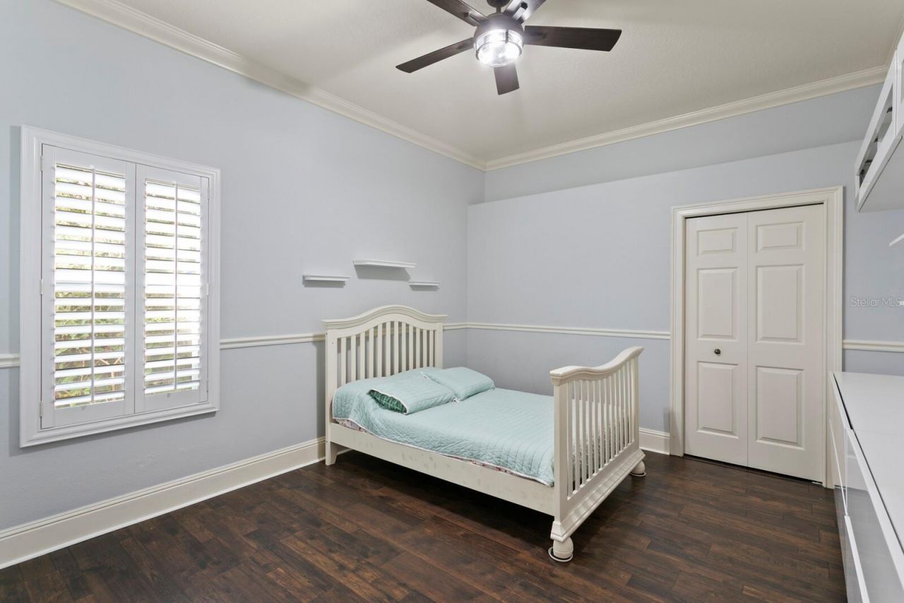 16423 Burniston Drive, Tampa, FL 33647 Photo