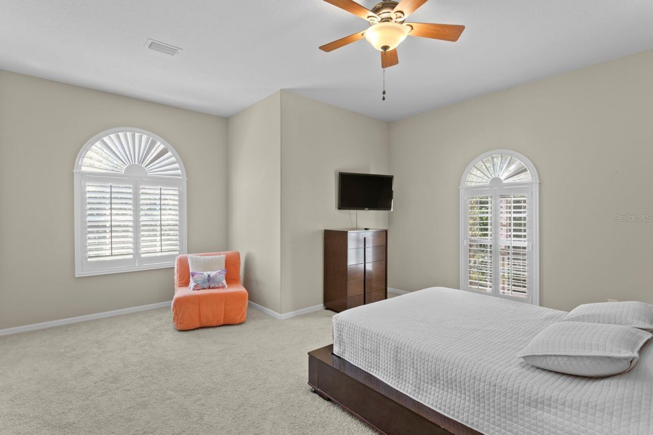 16423 Burniston Drive, Tampa, FL 33647 Photo