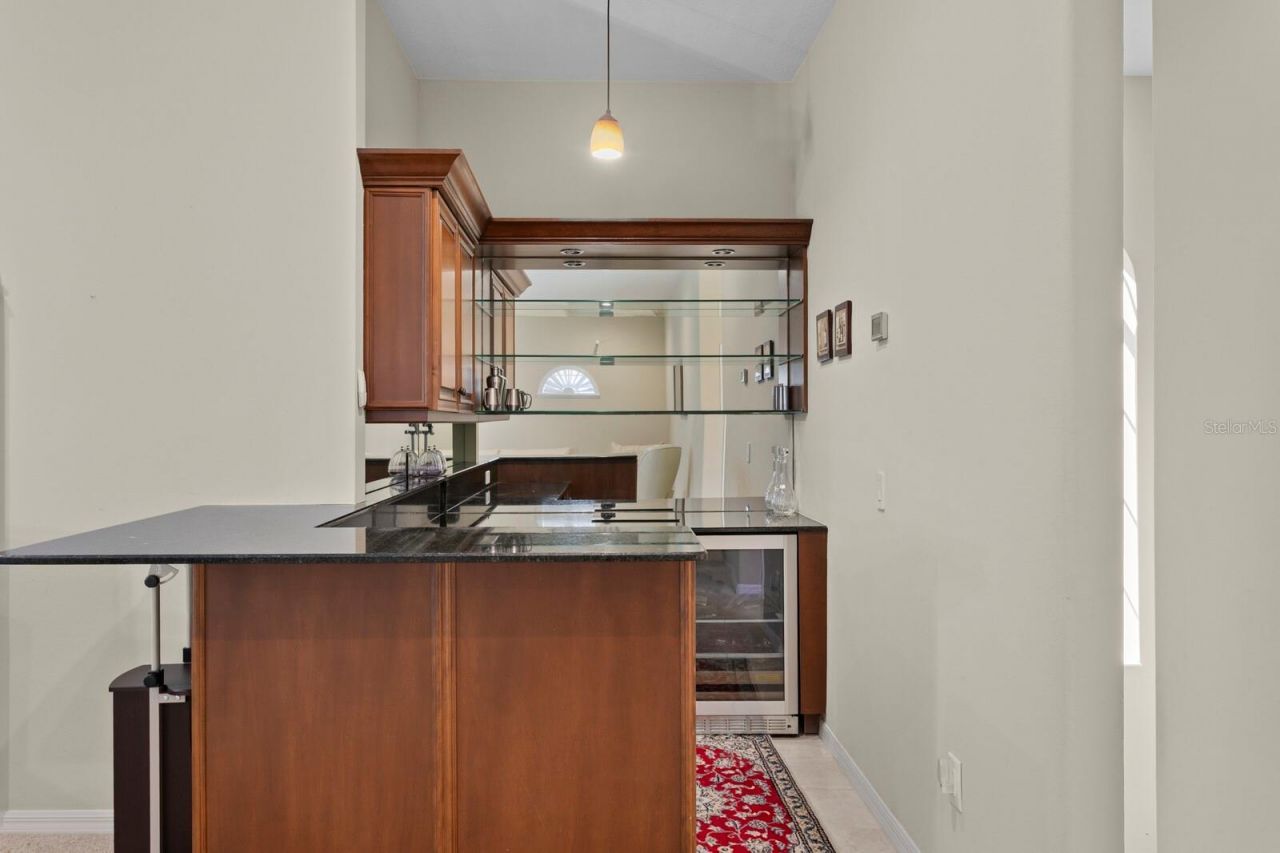 16423 Burniston Drive, Tampa, FL 33647 Photo