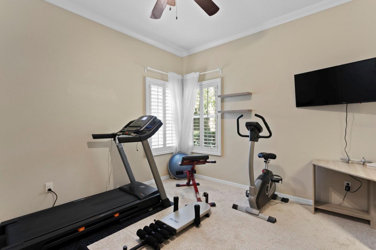 16423 Burniston Drive, Tampa, FL 33647 Photo