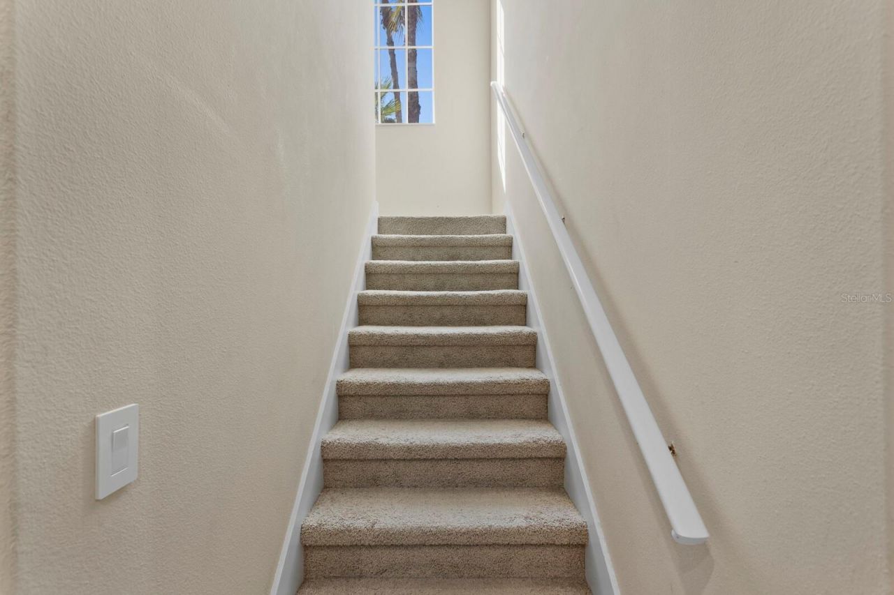 16423 Burniston Drive, Tampa, FL 33647 Photo