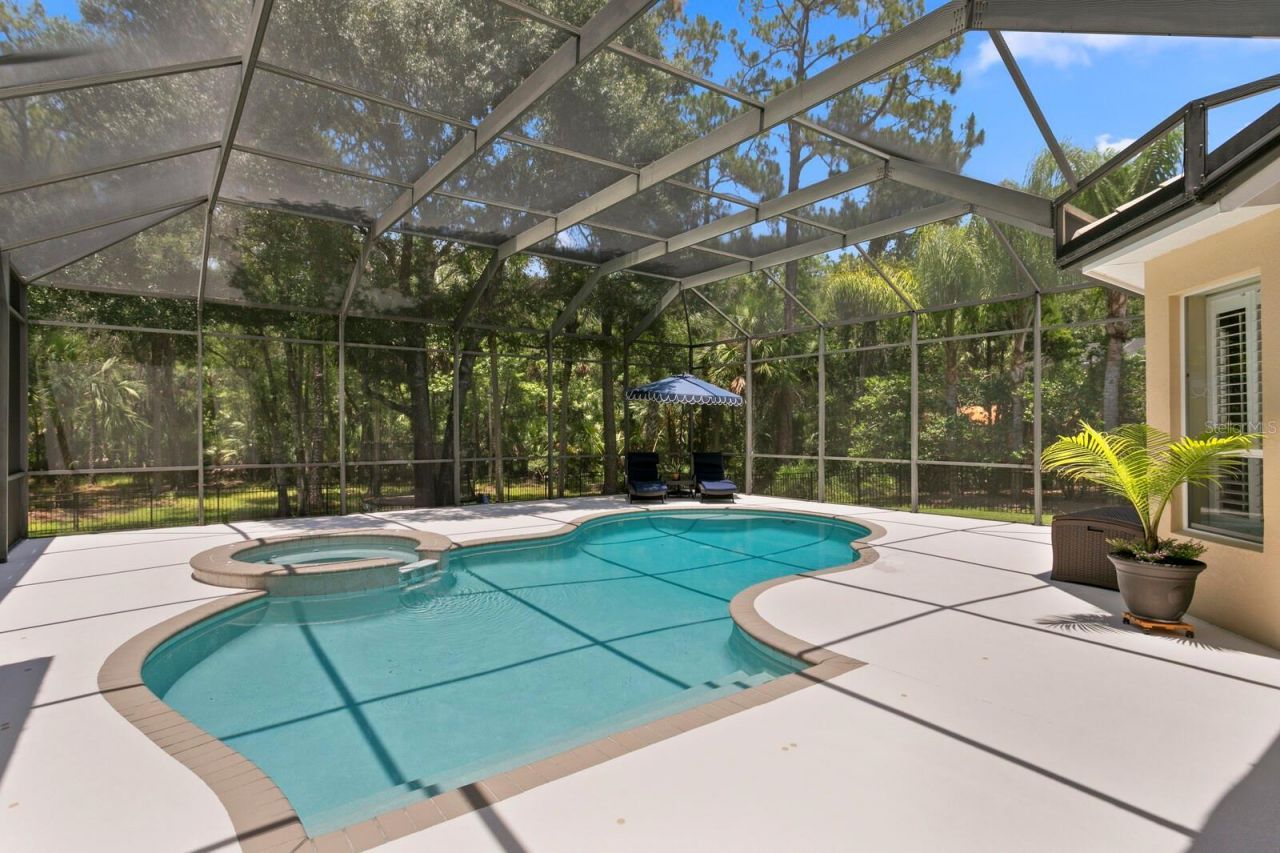 16423 Burniston Drive, Tampa, FL 33647 Photo