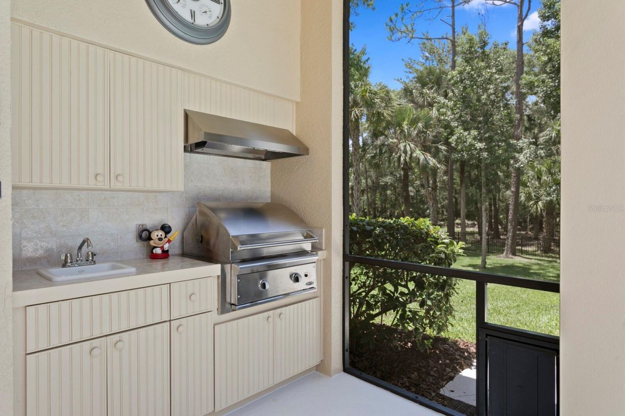 16423 Burniston Drive, Tampa, FL 33647 Photo