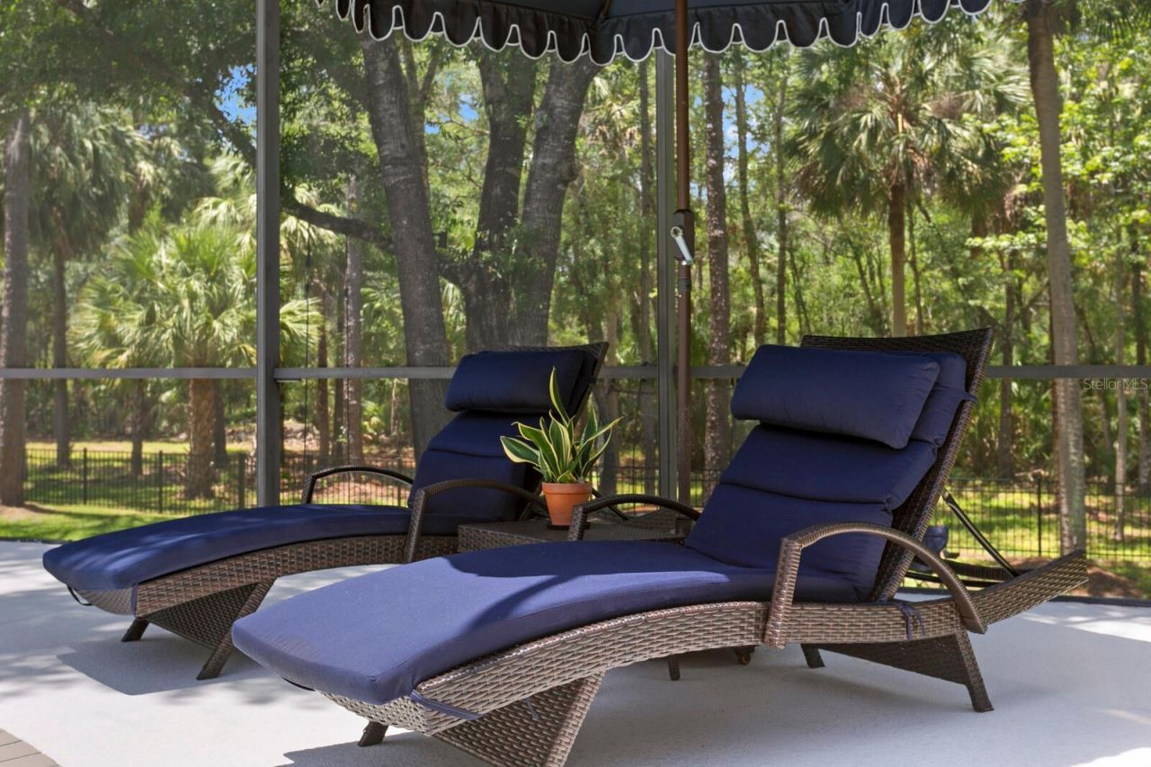 16423 Burniston Drive, Tampa, FL 33647 Photo