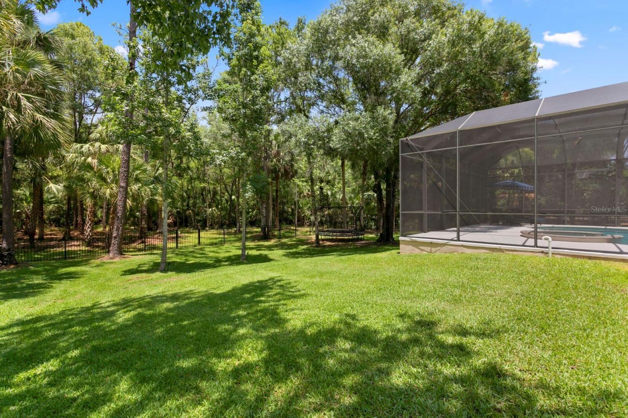 16423 Burniston Drive, Tampa, FL 33647 Photo