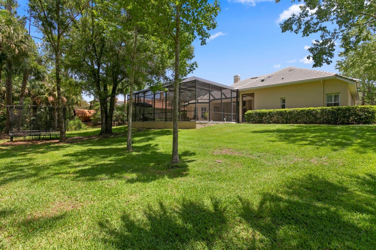 16423 Burniston Drive, Tampa, FL 33647 Photo