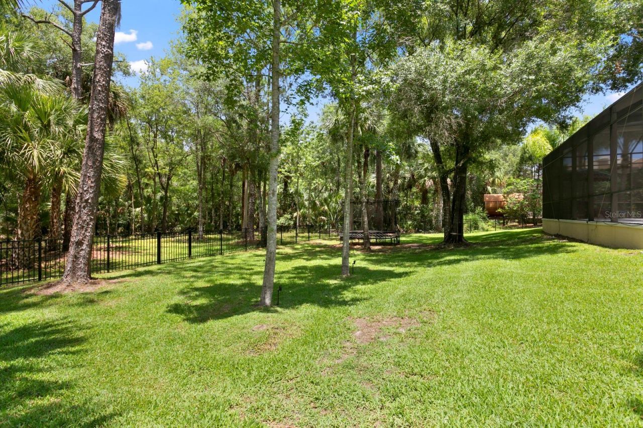 16423 Burniston Drive, Tampa, FL 33647 Photo