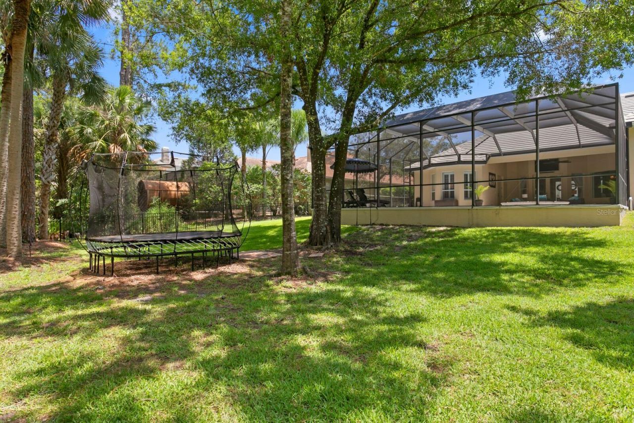 16423 Burniston Drive, Tampa, FL 33647 Photo