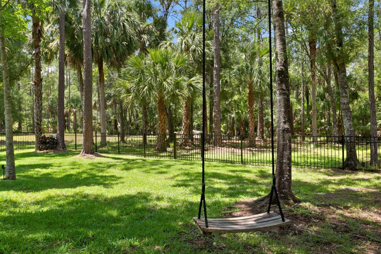 16423 Burniston Drive, Tampa, FL 33647 Photo