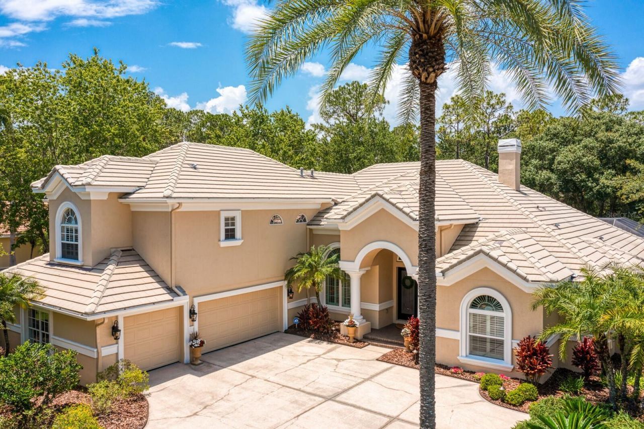 16423 Burniston Drive, Tampa, FL 33647 Photo