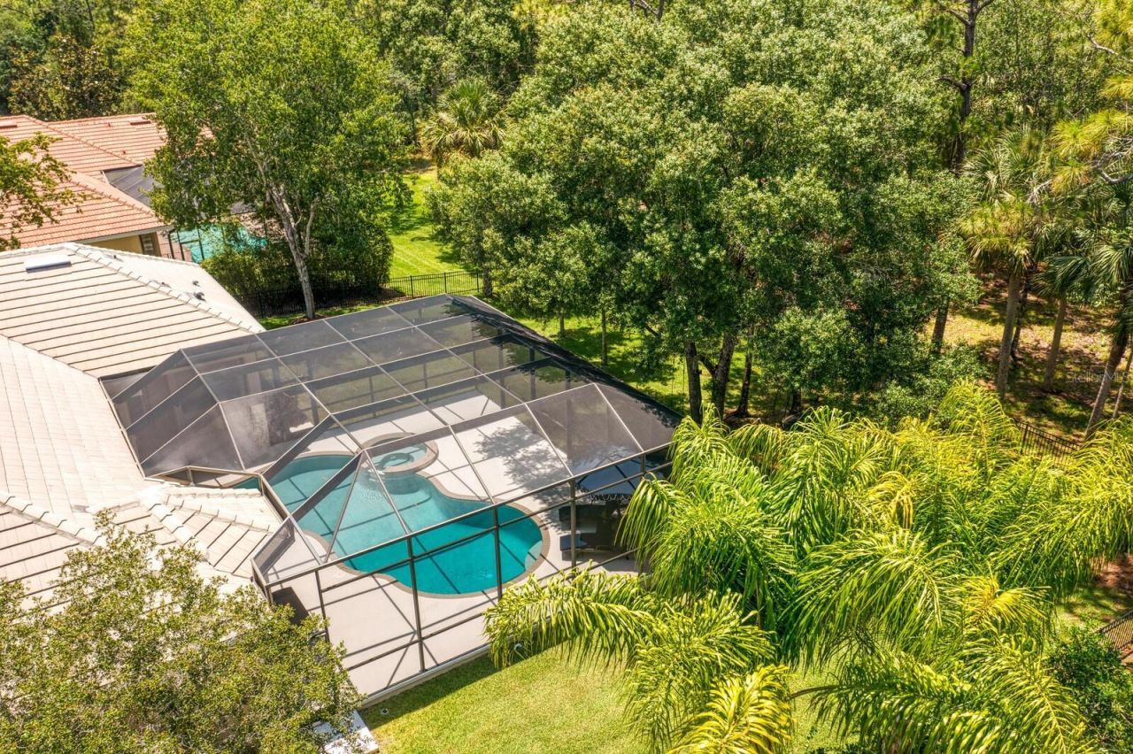 16423 Burniston Drive, Tampa, FL 33647 Photo