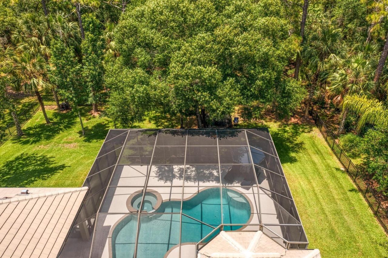 16423 Burniston Drive, Tampa, FL 33647 Photo