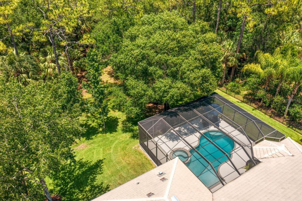 16423 Burniston Drive, Tampa, FL 33647 Photo