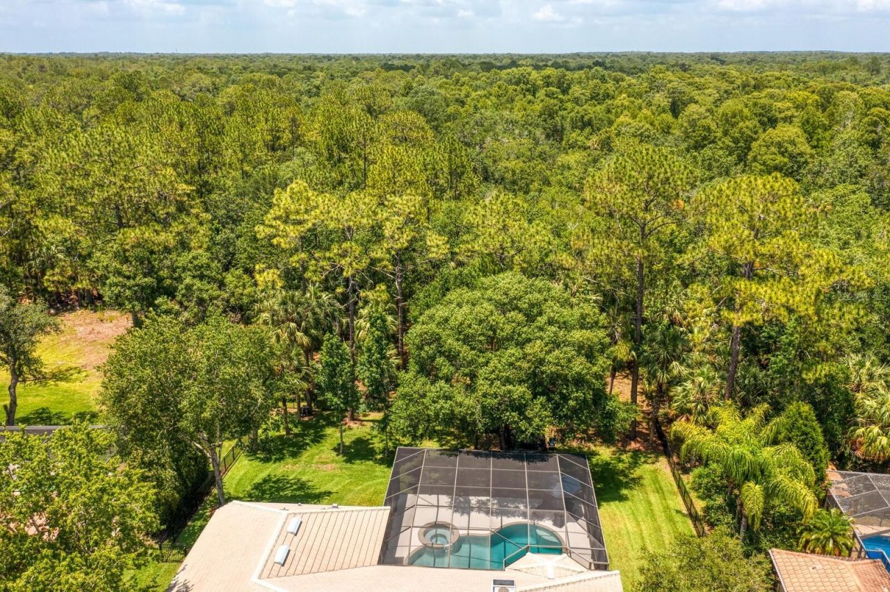 16423 Burniston Drive, Tampa, FL 33647 Photo