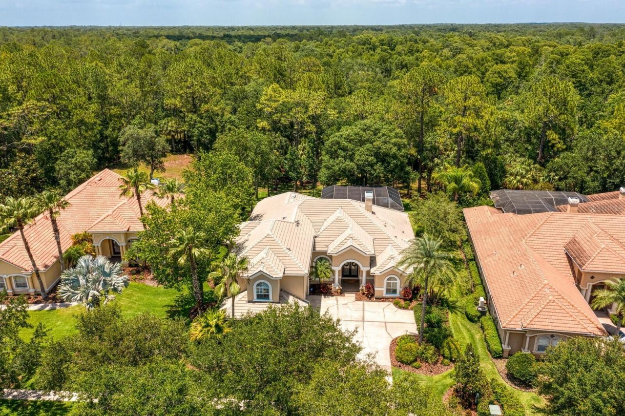 16423 Burniston Drive, Tampa, FL 33647 Photo