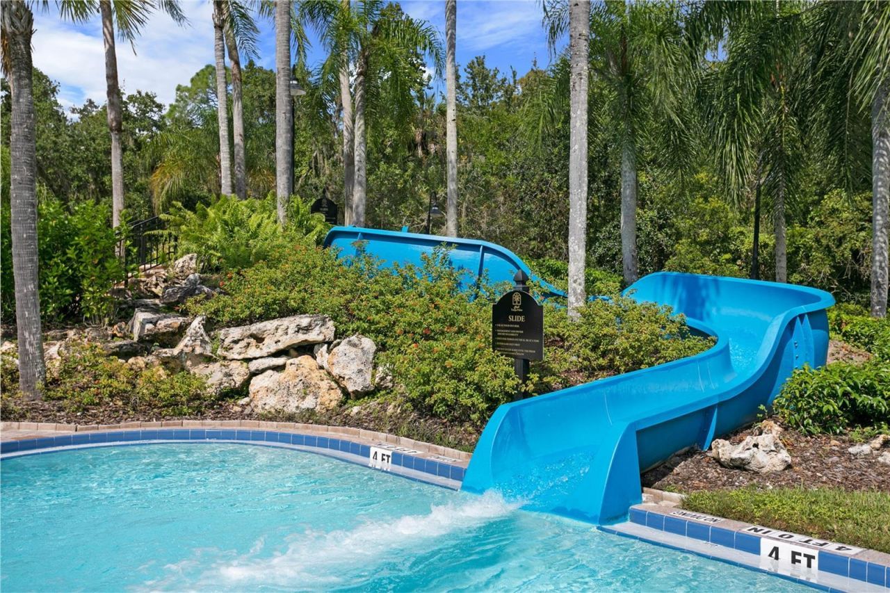 16423 Burniston Drive, Tampa, FL 33647 Photo