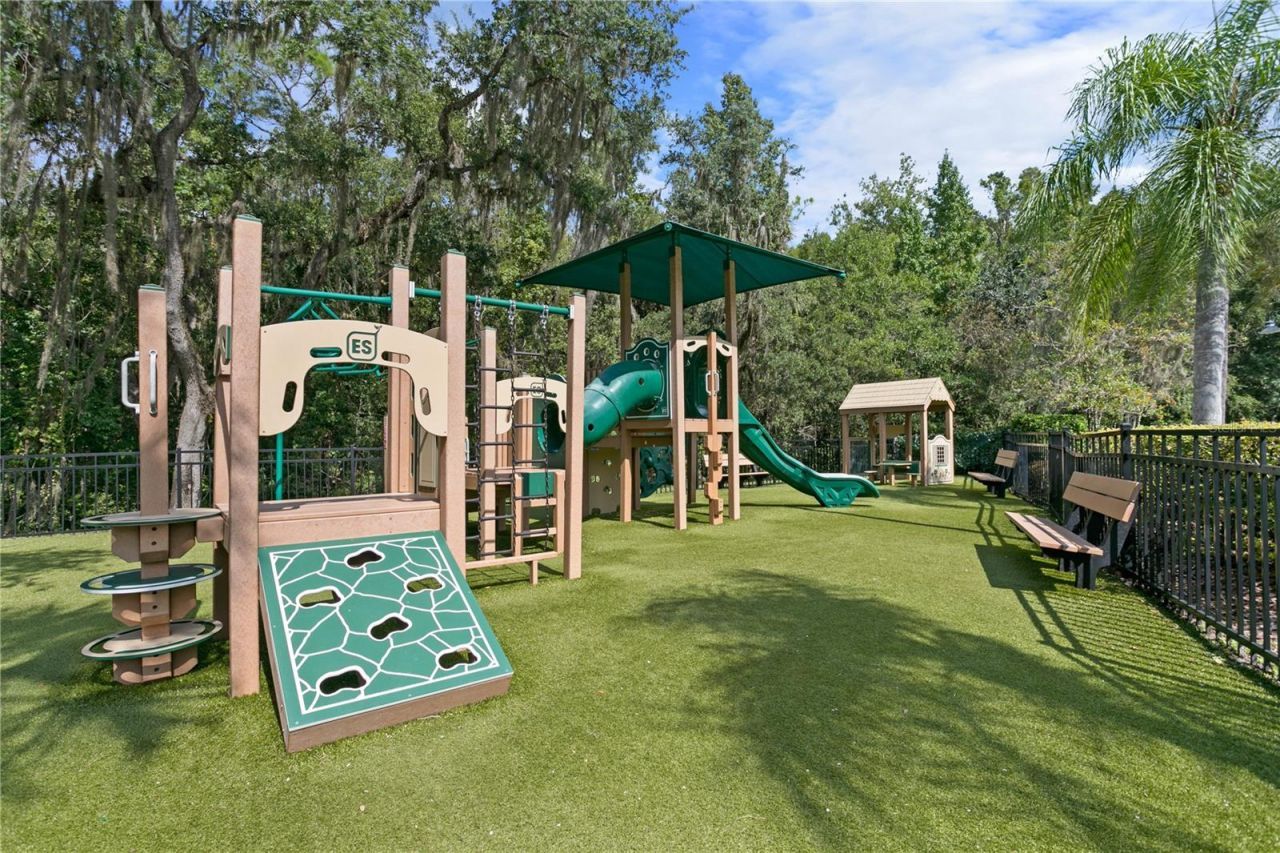 16423 Burniston Drive, Tampa, FL 33647 Photo