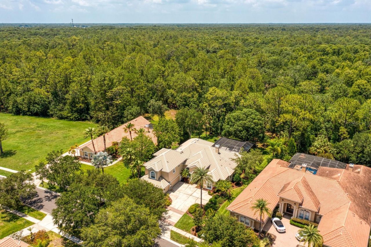 16423 Burniston Drive, Tampa, FL 33647 Photo