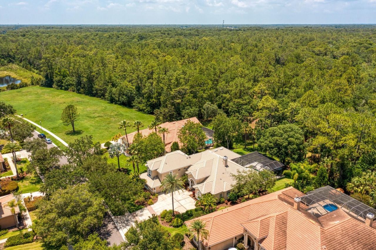 16423 Burniston Drive, Tampa, FL 33647 Photo