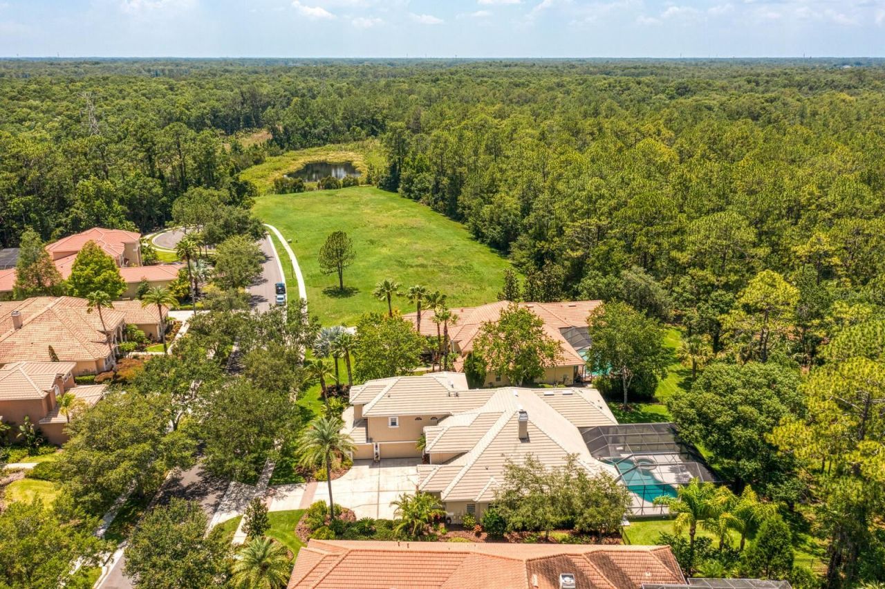 16423 Burniston Drive, Tampa, FL 33647 Photo