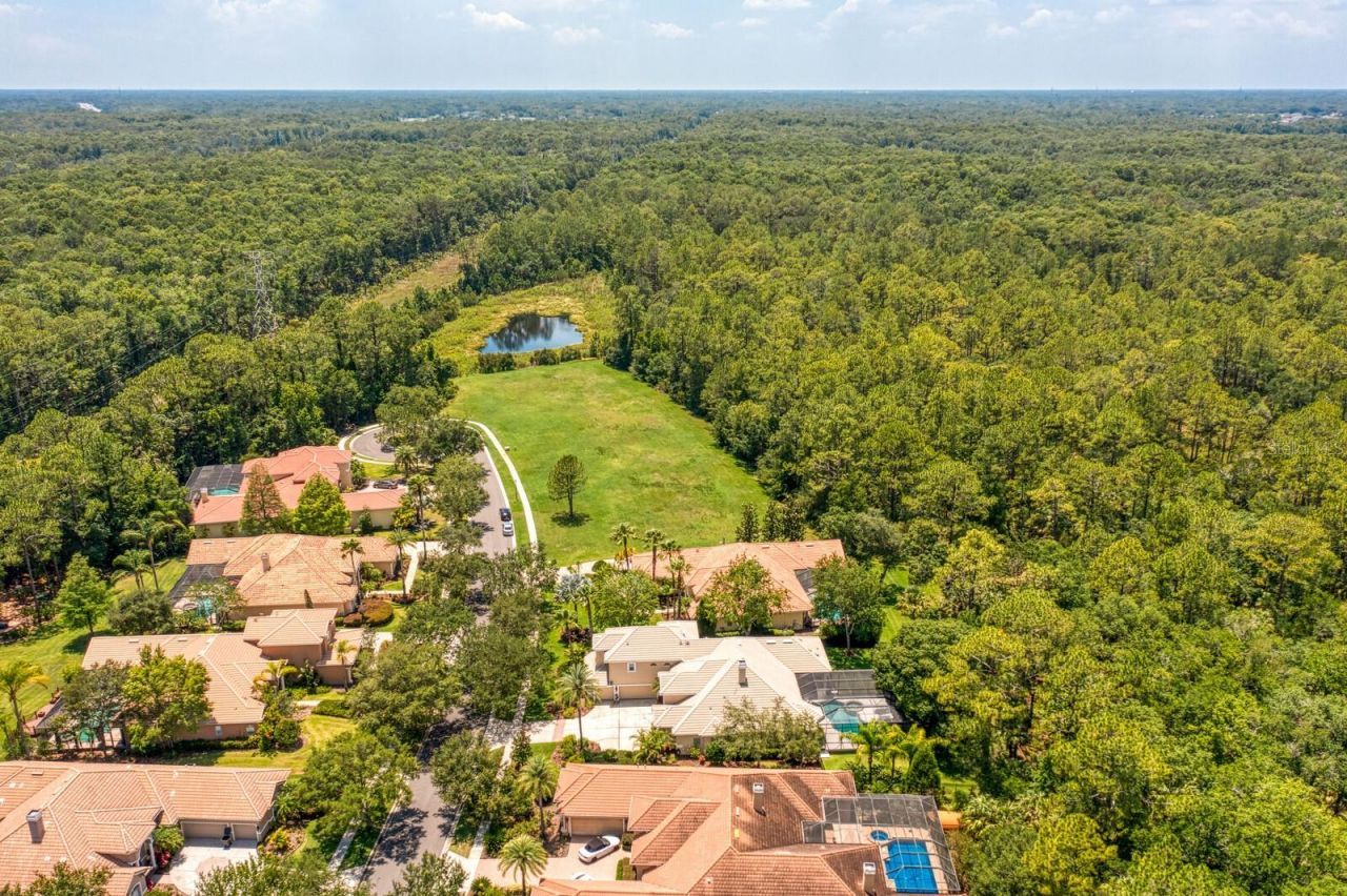 16423 Burniston Drive, Tampa, FL 33647 Photo