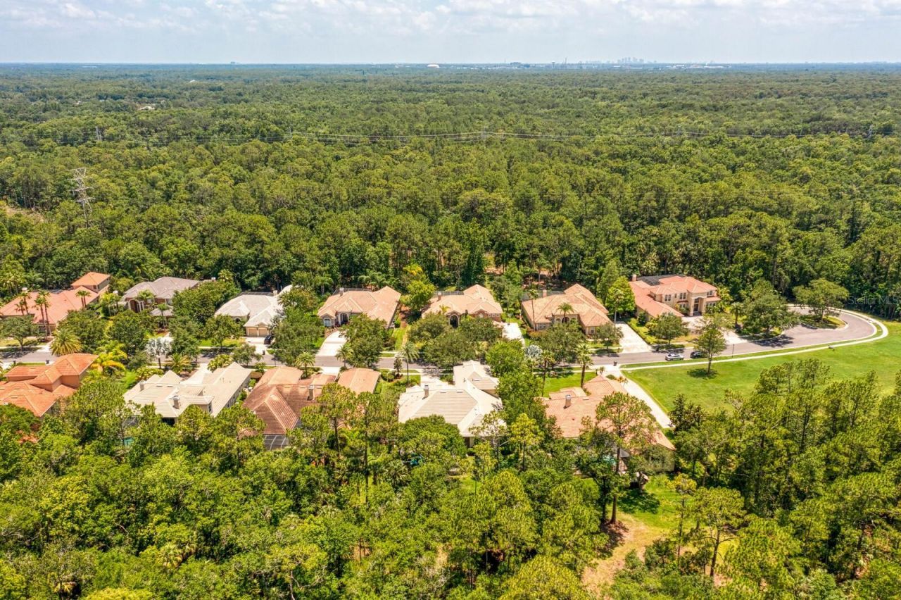 16423 Burniston Drive, Tampa, FL 33647 Photo