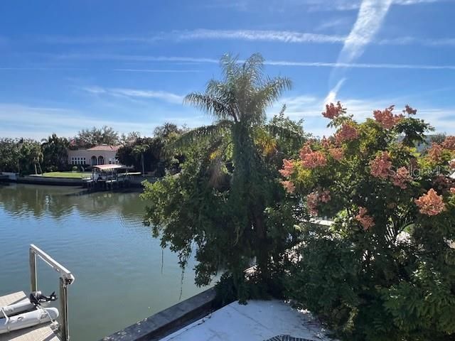 96 Adalia Avenue, Tampa, FL 33606 Photo