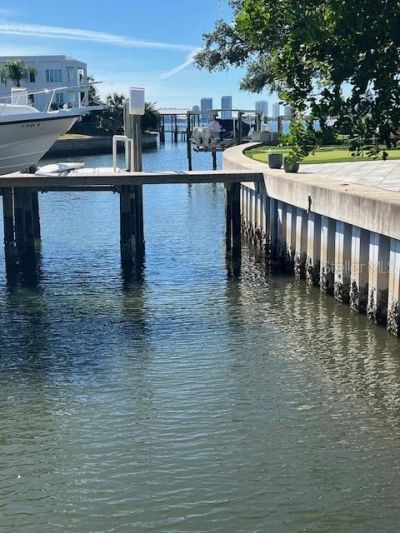 96 Adalia Avenue, Tampa, FL 33606 Photo