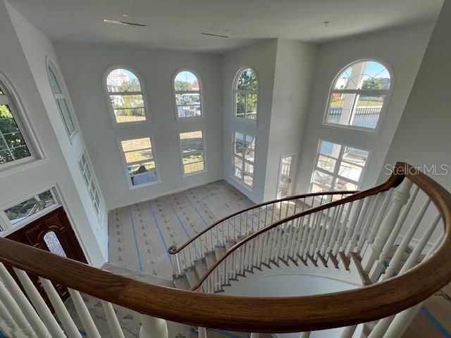 96 Adalia Avenue, Tampa, FL 33606 Photo