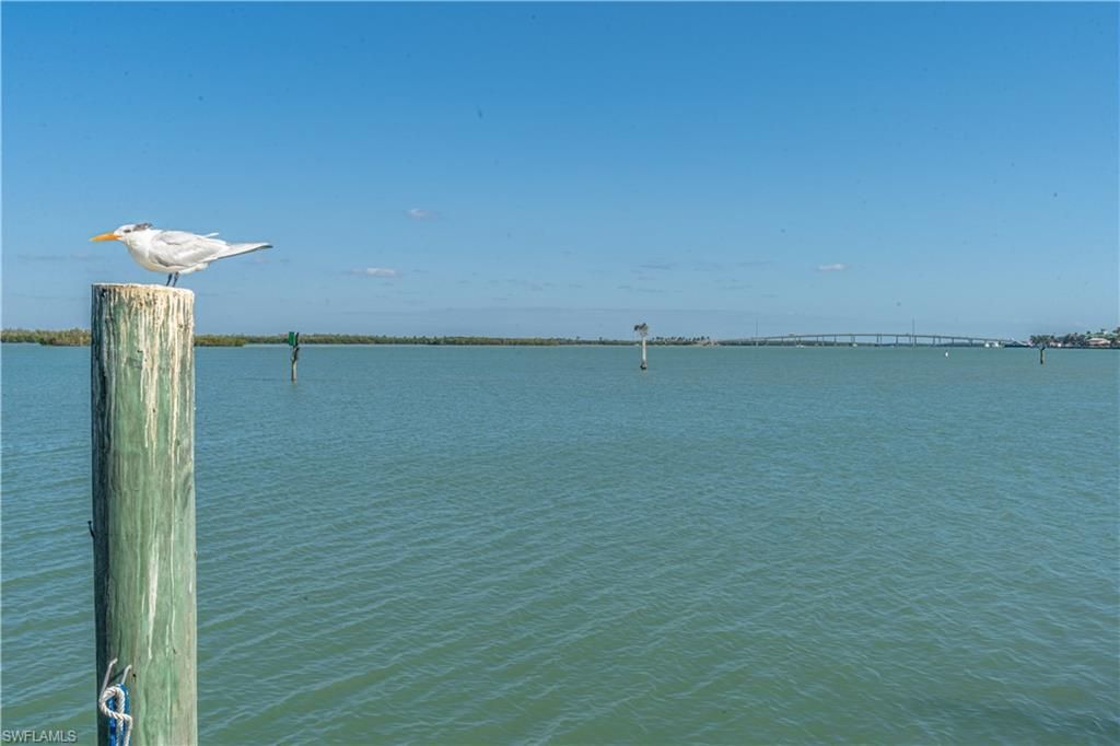 1085 Bald Eagle Dr, Unit E505, Marco Island, FL 34145 Photo