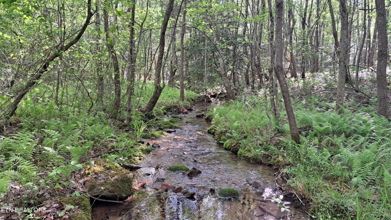 Lot 20 Airport Rd (pca), Rockwood, TN 37854 Main Photo