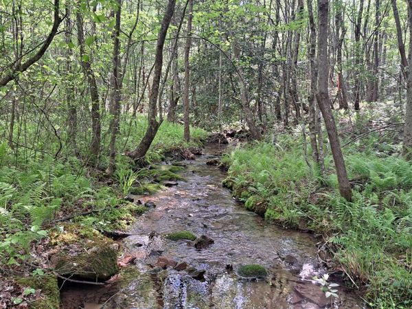 Lot 20 Airport Rd (PCA), Rockwood, TN 37854