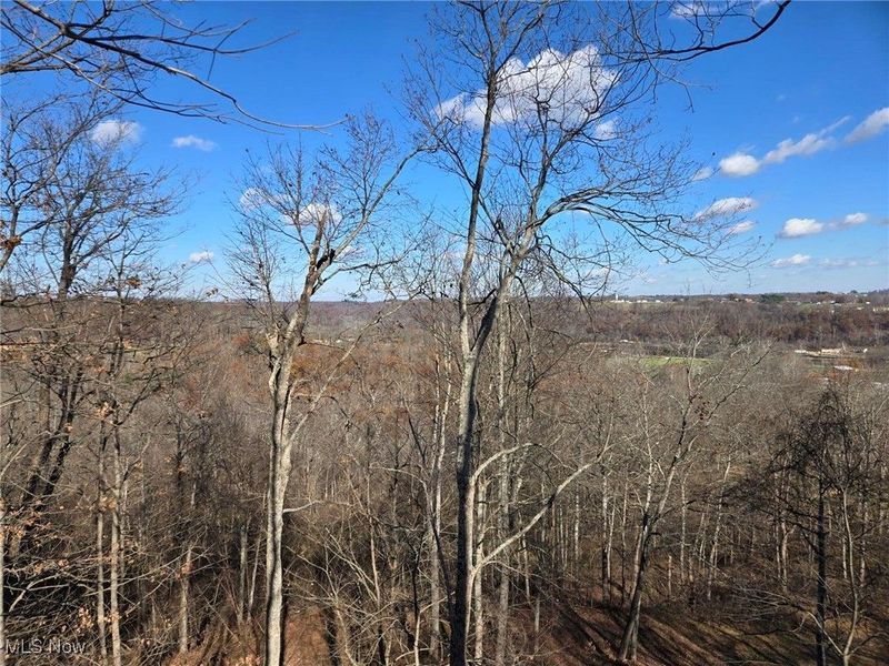 Echo Hill Road, Malta, OH 43758 Photo 6