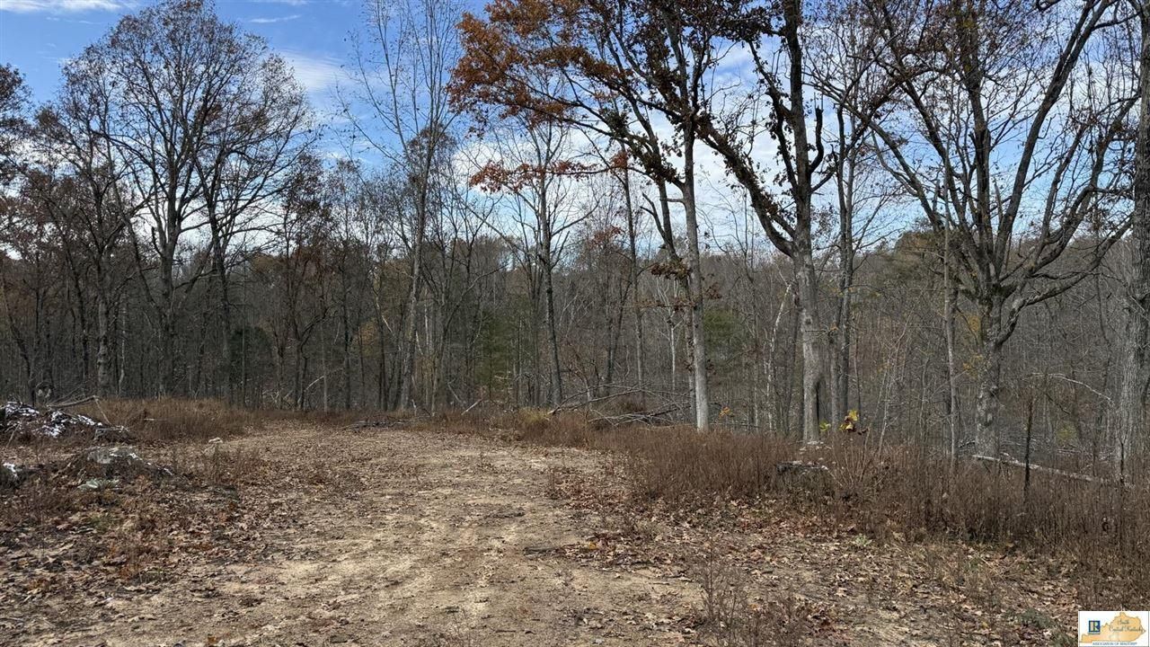 0 Gaddie Cottrell Road, Bonnieville, KY 42713 Main Photo