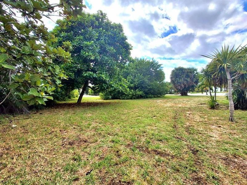 239 Hibiscus Avenue, Lauderdale by the Sea, FL 33308 Photo