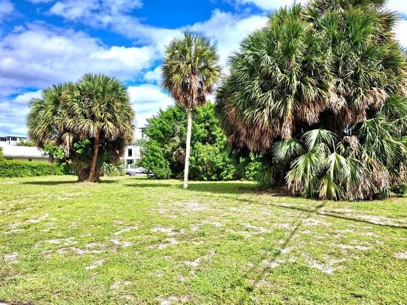 239 Hibiscus Avenue, Lauderdale by the Sea, FL 33308 Photo