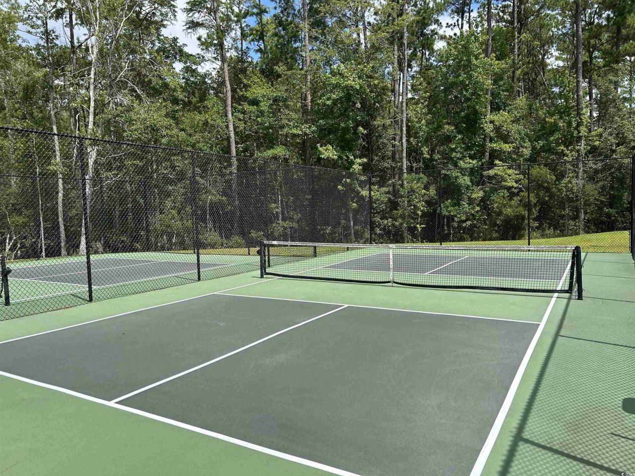 2040 Silver Island Way Photo 34