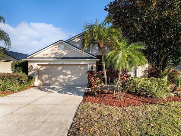 3316 STONEBRIDGE TRAIL, VALRICO, FL 33596