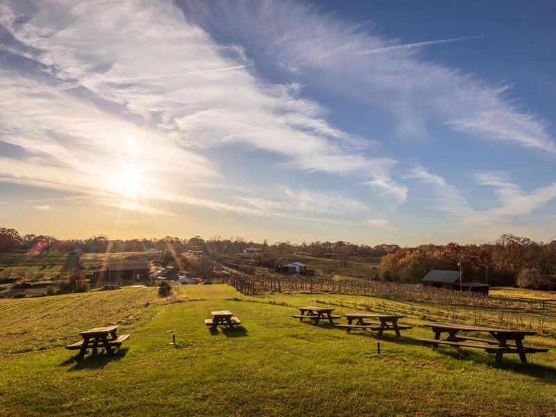 6176 Bethany Ridge Road , Guysville, OH 45735 Photo 31