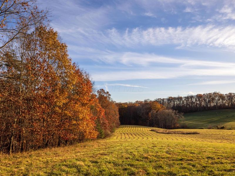 6176 Bethany Ridge Road , Guysville, OH 45735 Photo 32