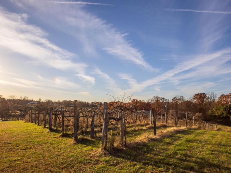 6176 Bethany Ridge Road , Guysville, OH 45735 Photo 34