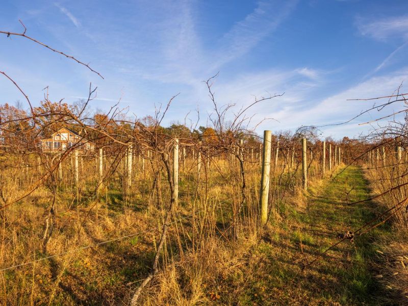 6176 Bethany Ridge Road , Guysville, OH 45735 Photo 36