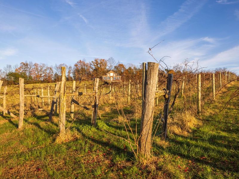 6176 Bethany Ridge Road , Guysville, OH 45735 Photo 37