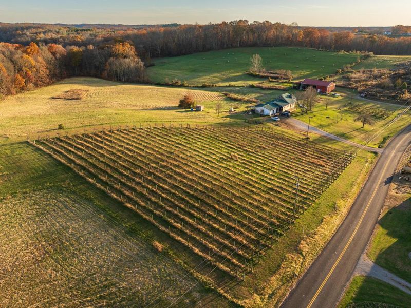 6176 Bethany Ridge Road , Guysville, OH 45735 Photo 43