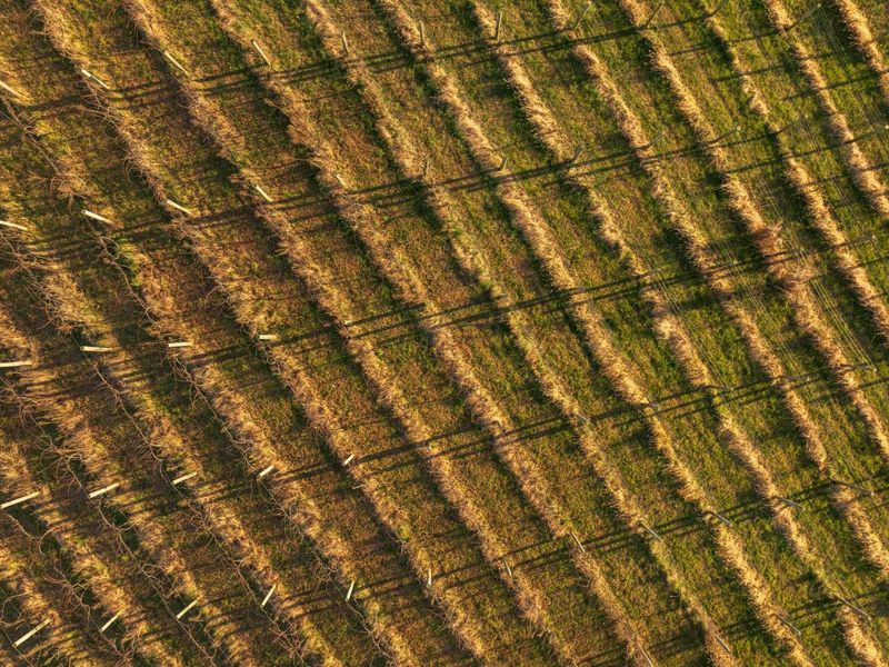 6176 Bethany Ridge Road , Guysville, OH 45735 Photo 44