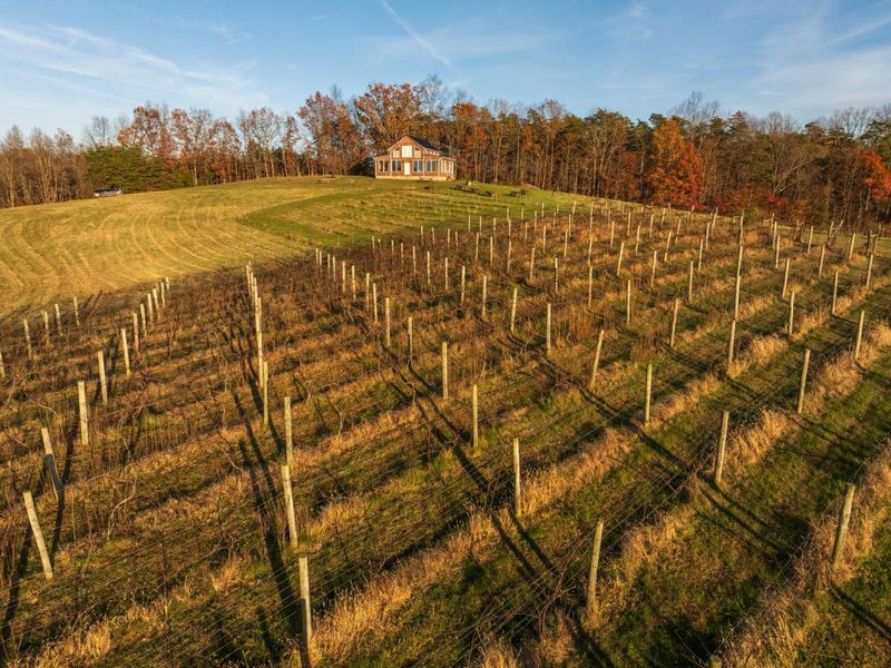 6176 Bethany Ridge Road , Guysville, OH 45735 Photo 45