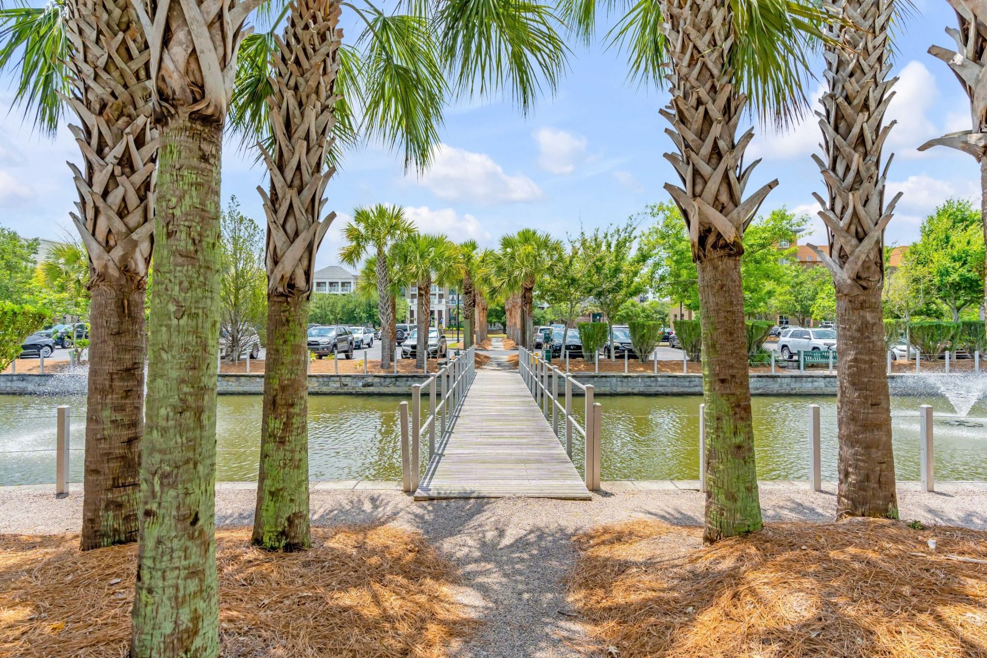 200 River Landing Drive Photo 8