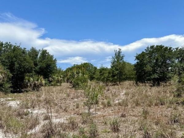 1701 CABBAGE WOOD ROAD, OKEECHOBEE, FL 34974