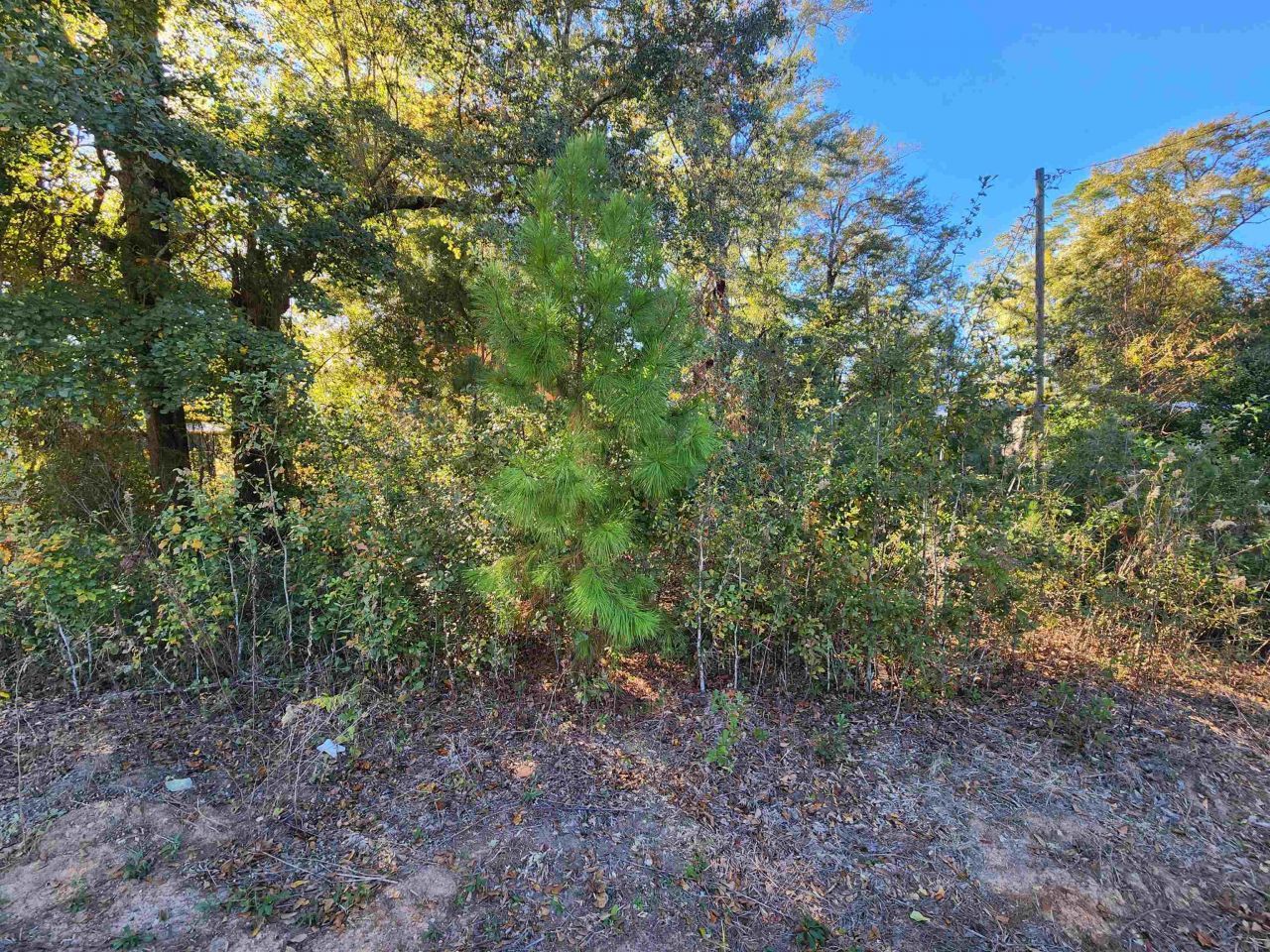 Xxx Deer Street, Bristol, FL 32321 Photo